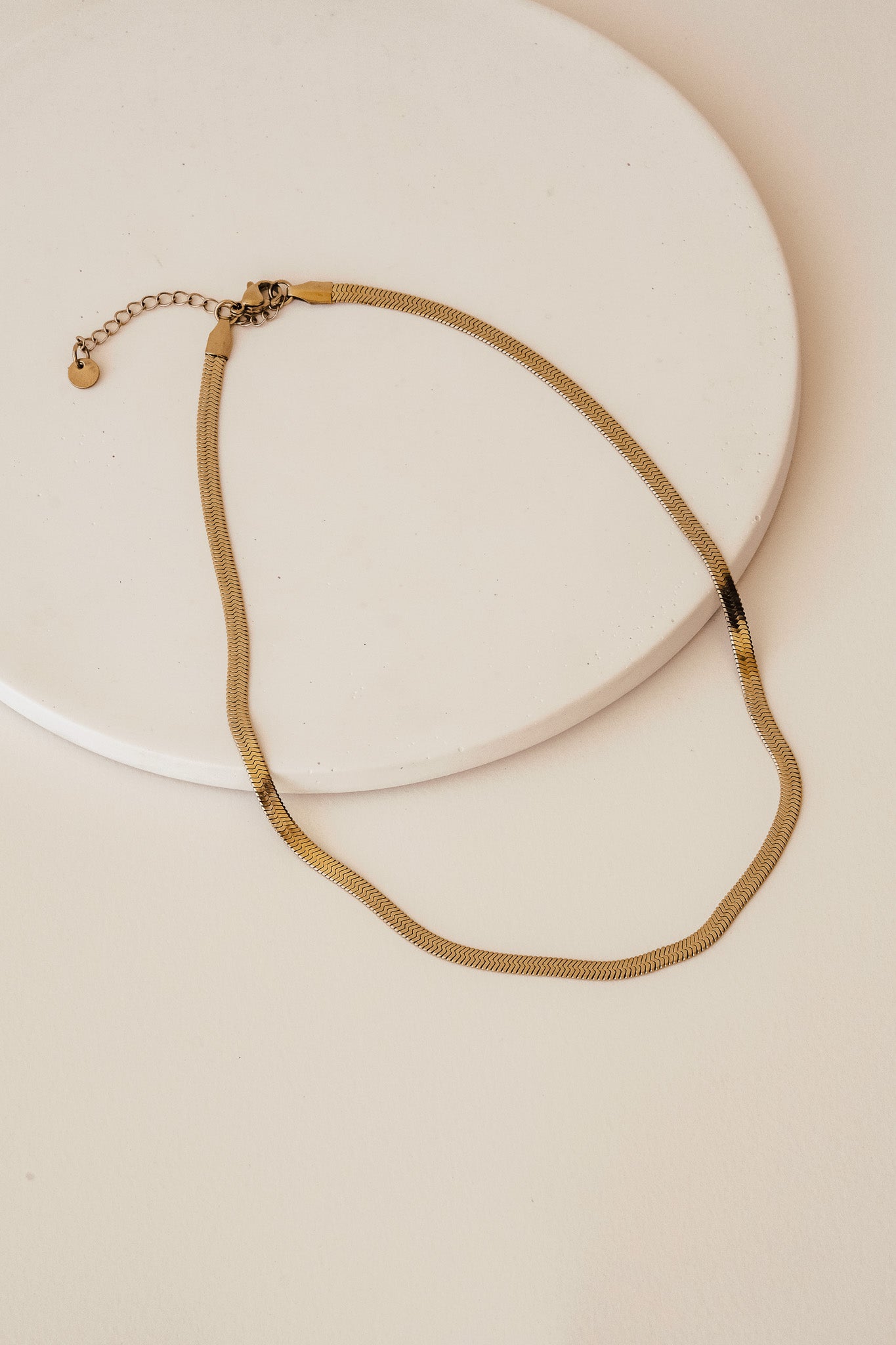 Bianca Snake Chain Necklace