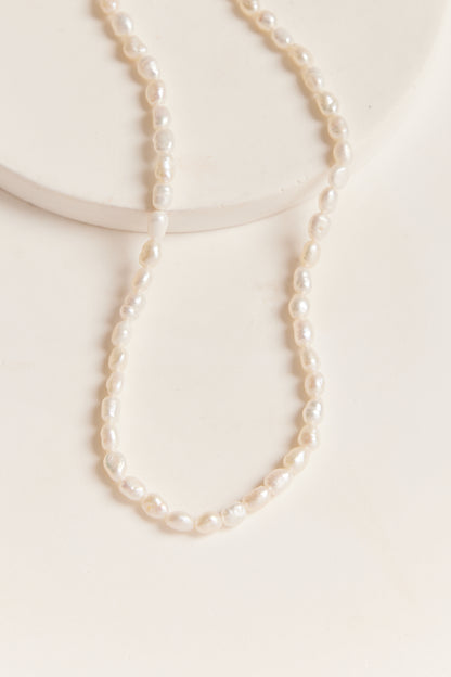 Eden Pearl Choker Necklace